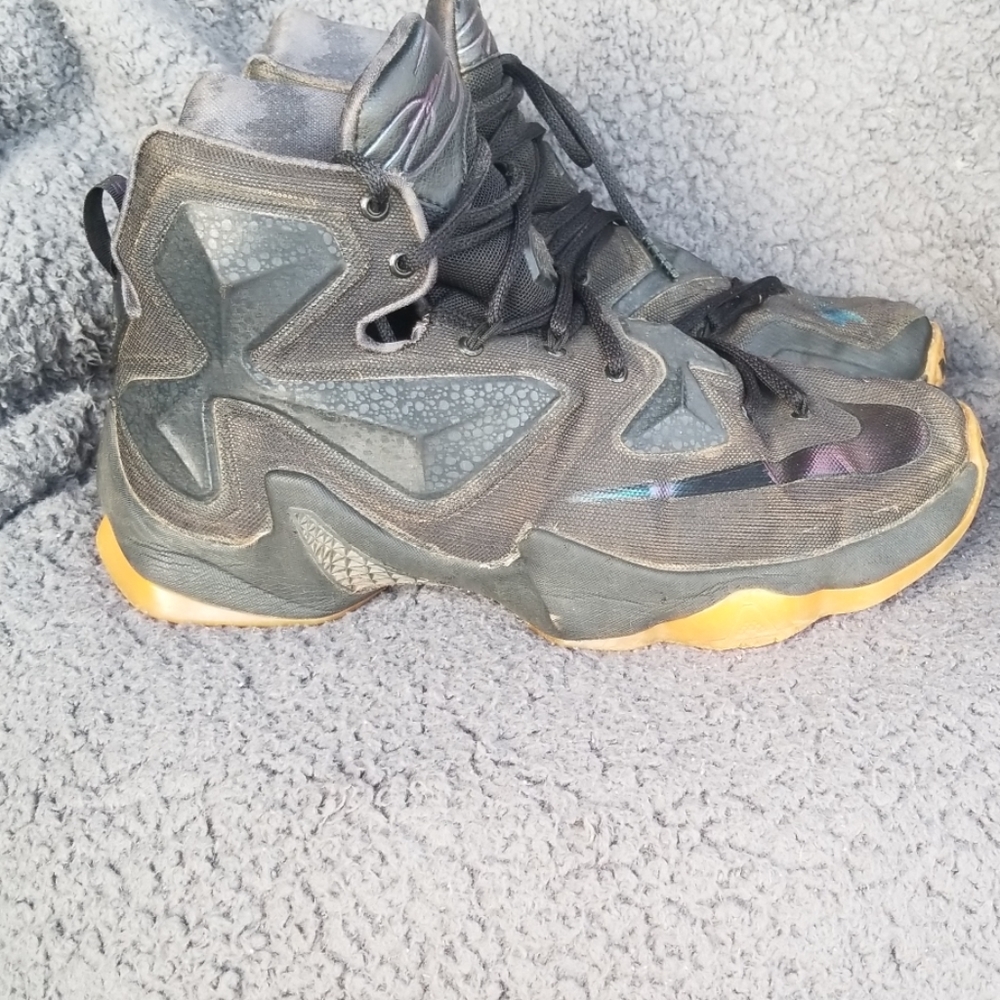 Nike Lebron James sneakers